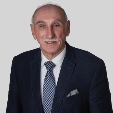 Dr. Manfred Bretz, Stellvertretender Vorsitzender